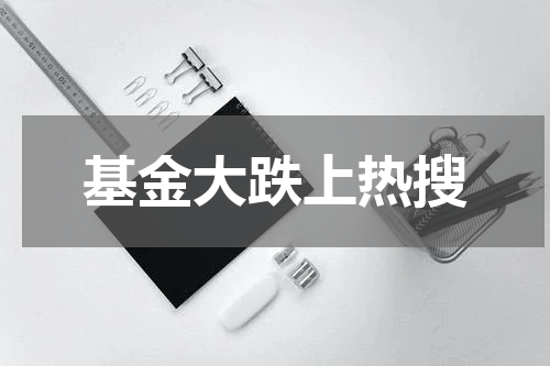 基金大跌上热搜