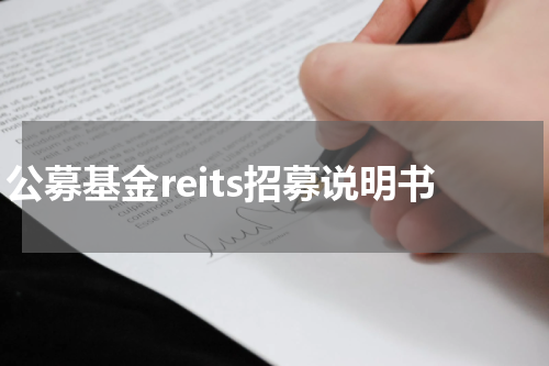 公募基金reits招募说明书