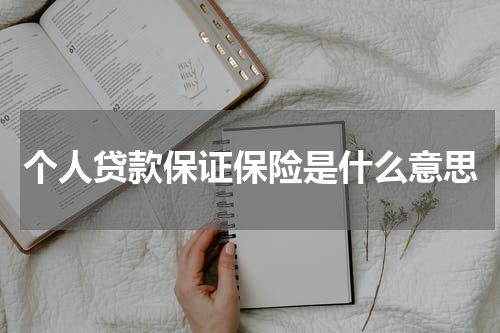 个人贷款保证保险是什么意思