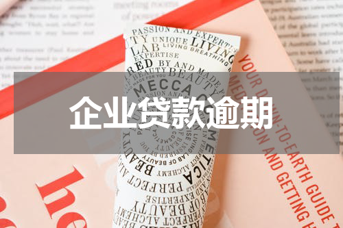 企业贷款逾期