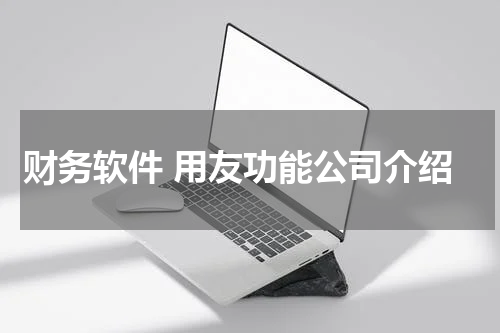 财务软件 用友功能公司介绍