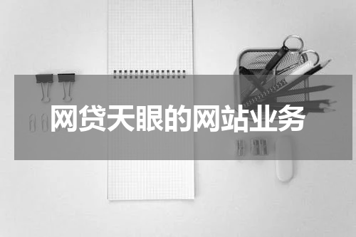 网贷天眼的网站业务