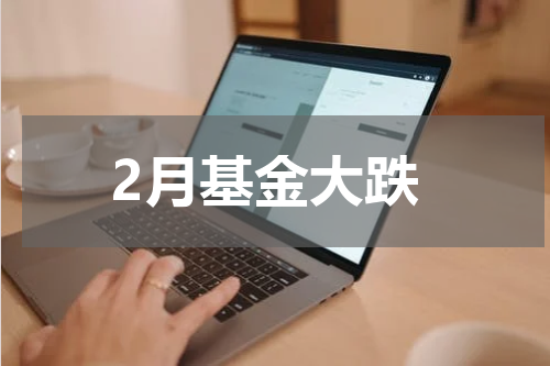 2月基金大跌