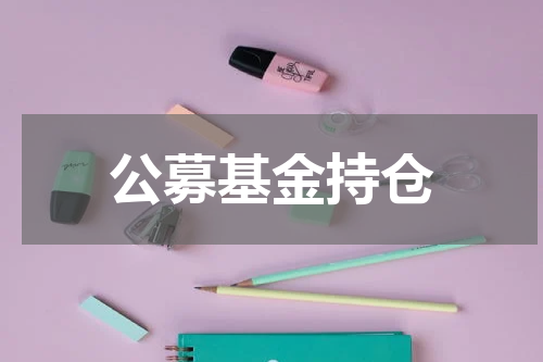 公募基金持仓