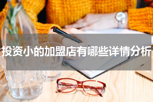投资小的加盟店有哪些详情分析