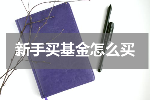 新手买基金怎么买