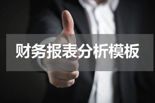财务报表分析模板