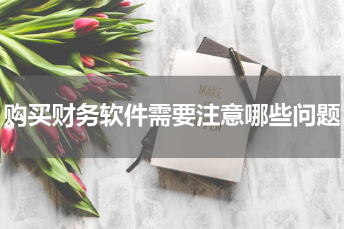 购买财务软件需要注意哪些问题