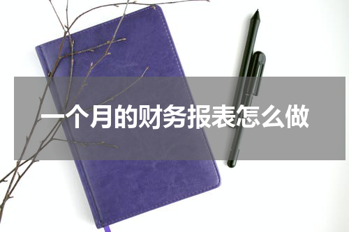 一个月的财务报表怎么做