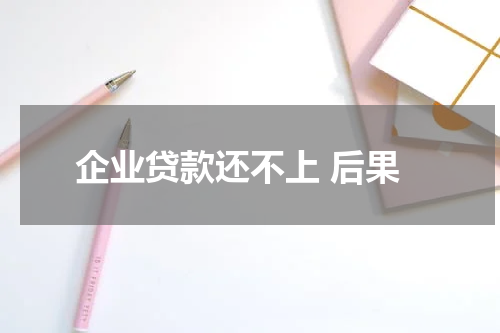 企业贷款还不上 后果