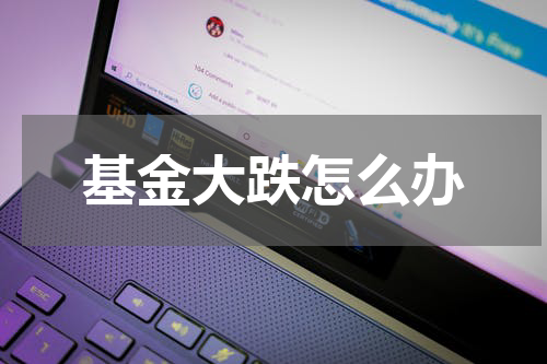 基金大跌怎么办