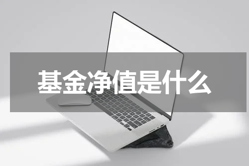 基金净值是什么