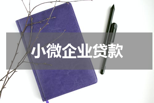 小微企业贷款