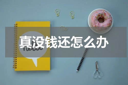 真没钱还怎么办