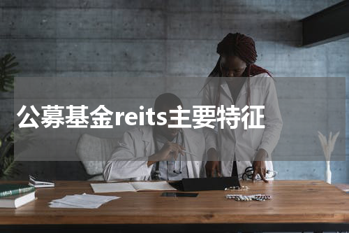 公募基金reits主要特征