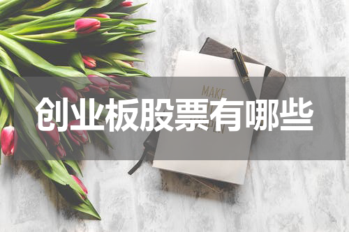 创业板股票有哪些