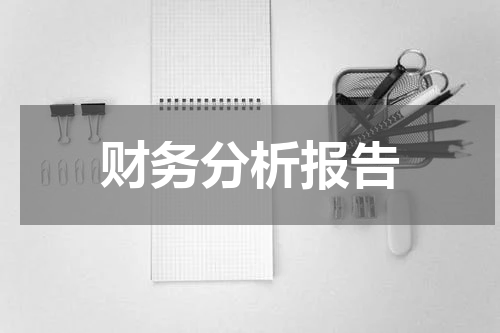 财务分析报告