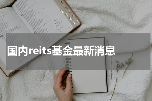 国内reits基金最新消息