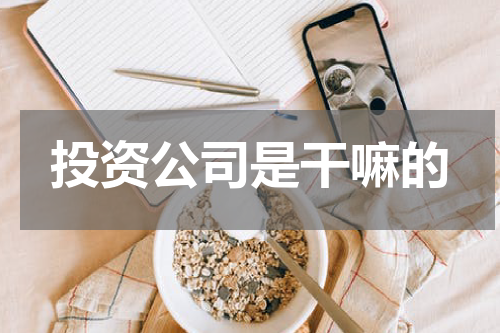 投资公司是干嘛的