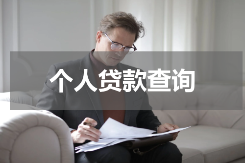 个人贷款查询