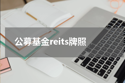 公募基金reits牌照