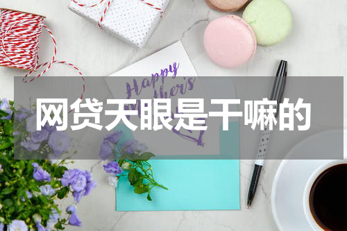 网贷天眼是干嘛的