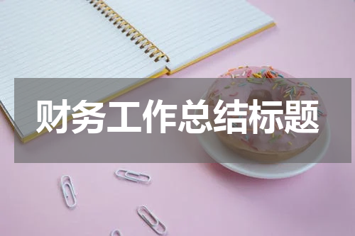 财务工作总结标题