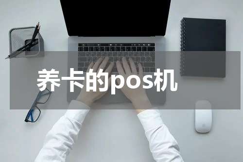 养卡的pos机