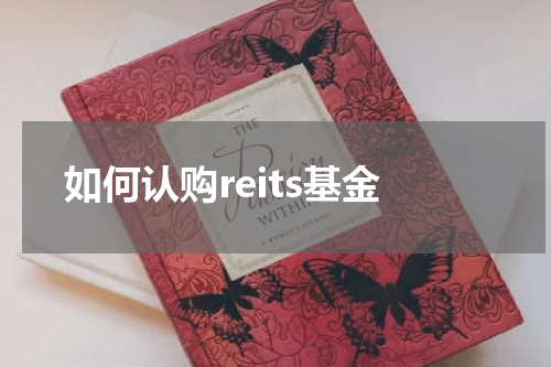 如何认购reits基金