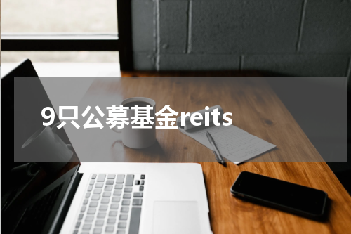 9只公募基金reits