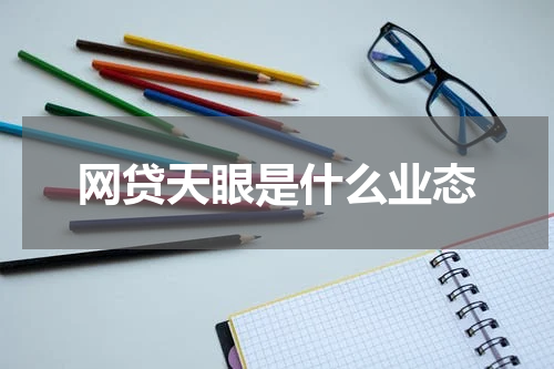 网贷天眼是什么业态