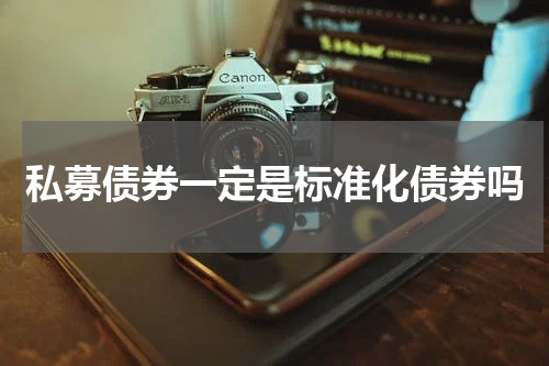私募债券一定是标准化债券吗