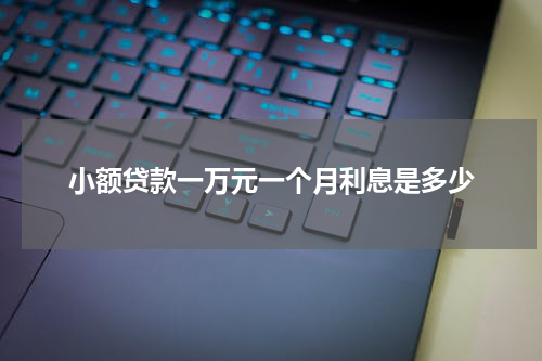 小额贷款一万元一个月利息是多少