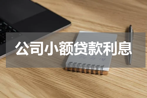 公司小额贷款利息