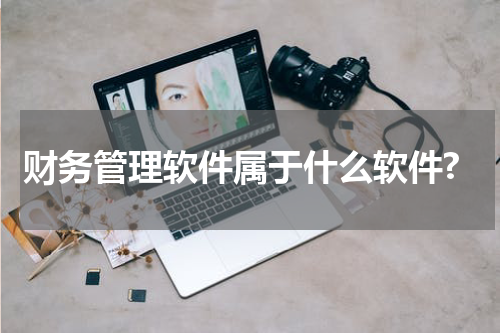 财务管理软件属于什么软件?