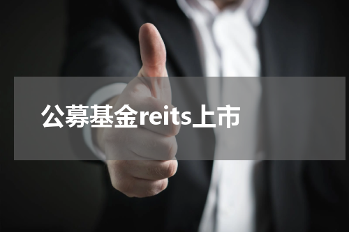 公募基金reits上市