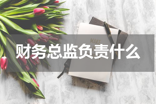 财务总监负责什么
