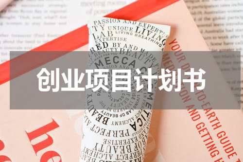 创业项目计划书