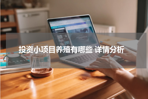 投资小项目养殖有哪些 详情分析