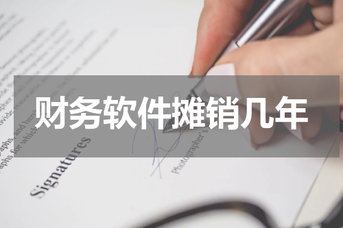 财务软件摊销几年