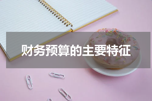 财务预算的主要特征
