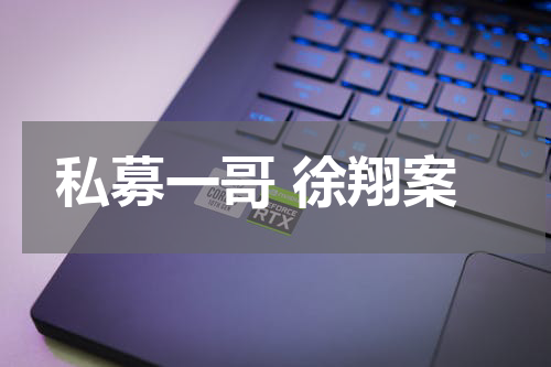 私募一哥 徐翔案