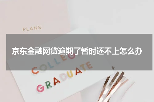京东金融网贷逾期了暂时还不上怎么办