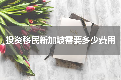 投资移民新加坡需要多少费用