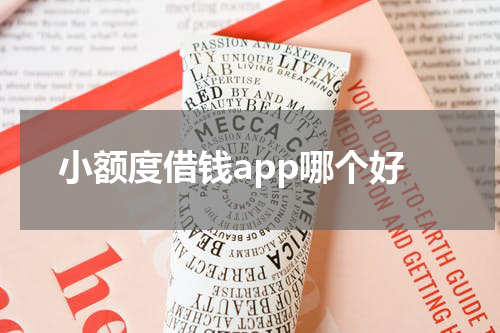 小额度借钱app哪个好