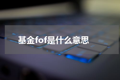 基金fof是什么意思
