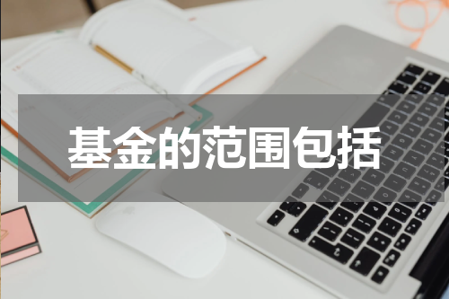 基金的范围包括
