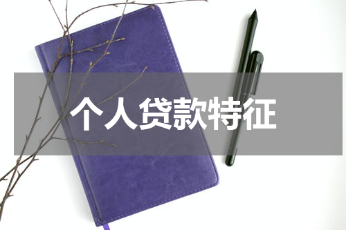 个人贷款特征