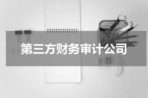 第三方财务审计公司