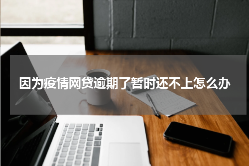 因为疫情网贷逾期了暂时还不上怎么办